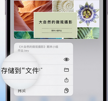 平南apple维修中心分享iPhone文件应用中存储和找到下载文件