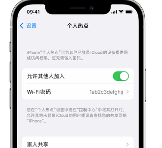 平南apple服务站点分享iPhone上个人热点丢失了怎么办 