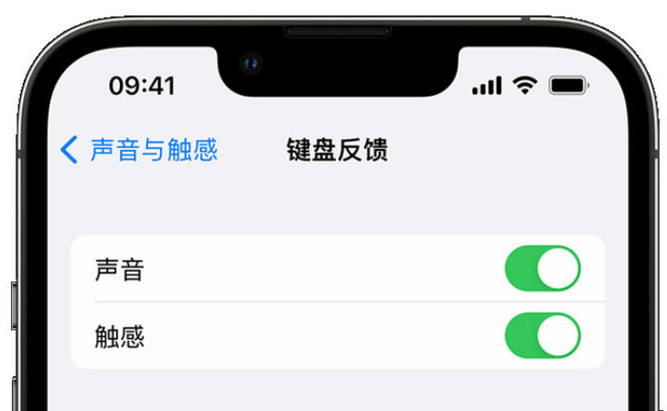 平南苹果手机维修分享iPhone 14触感键盘使用方法 