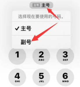 平南苹果14维修店分享iPhone 14 Pro Max使用副卡打电话的方法 