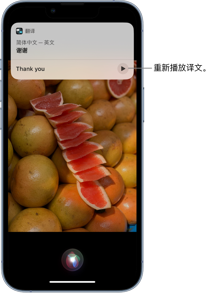 平南苹果14维修分享 iPhone 14 机型中使用 Siri：了解 Siri 能帮你做什么 