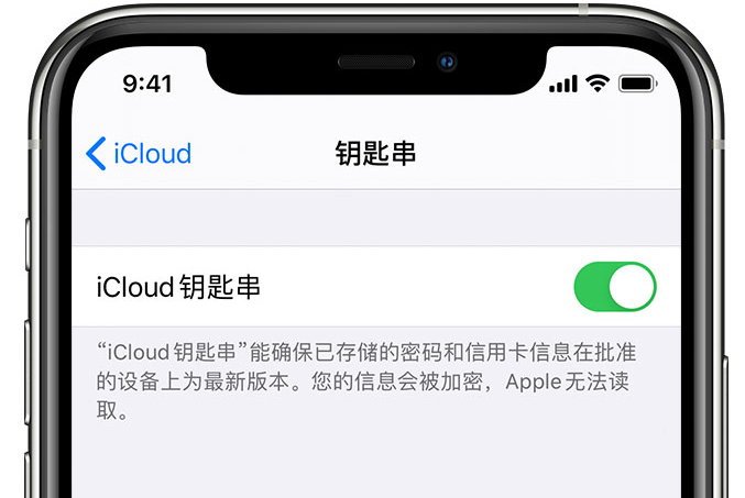 平南苹果手机维修分享在 iPhone 上开启 iCloud 钥匙串之后会储存哪些信息 