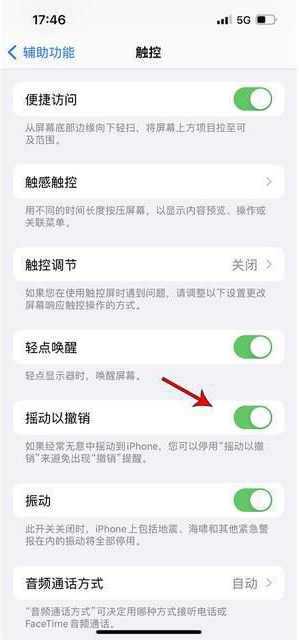 平南苹果手机维修分享iPhone手机如何设置摇一摇删除文字 