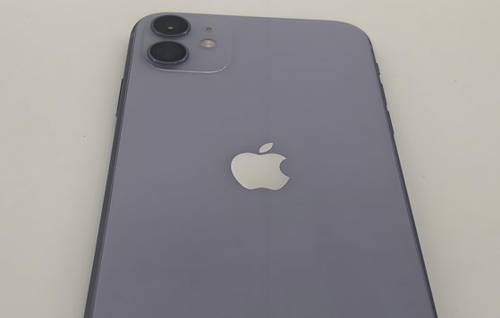 平南苹果11系统维修分享iPhone11手机系统崩溃无法开机如何解决 